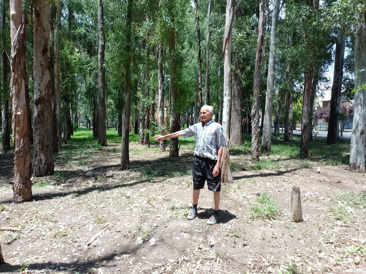 Don Montenegro, histórico vecino de Gutiérrez en el bosque que está frente a su casa.