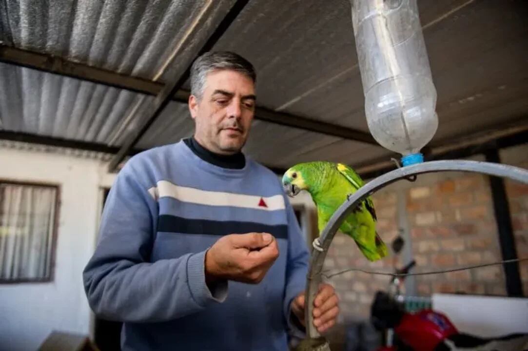 El animalito, de apenas un año, fue filmado mientras canta el icónico himno peronista y es furor en las redes. Foto: Web / Los Andes