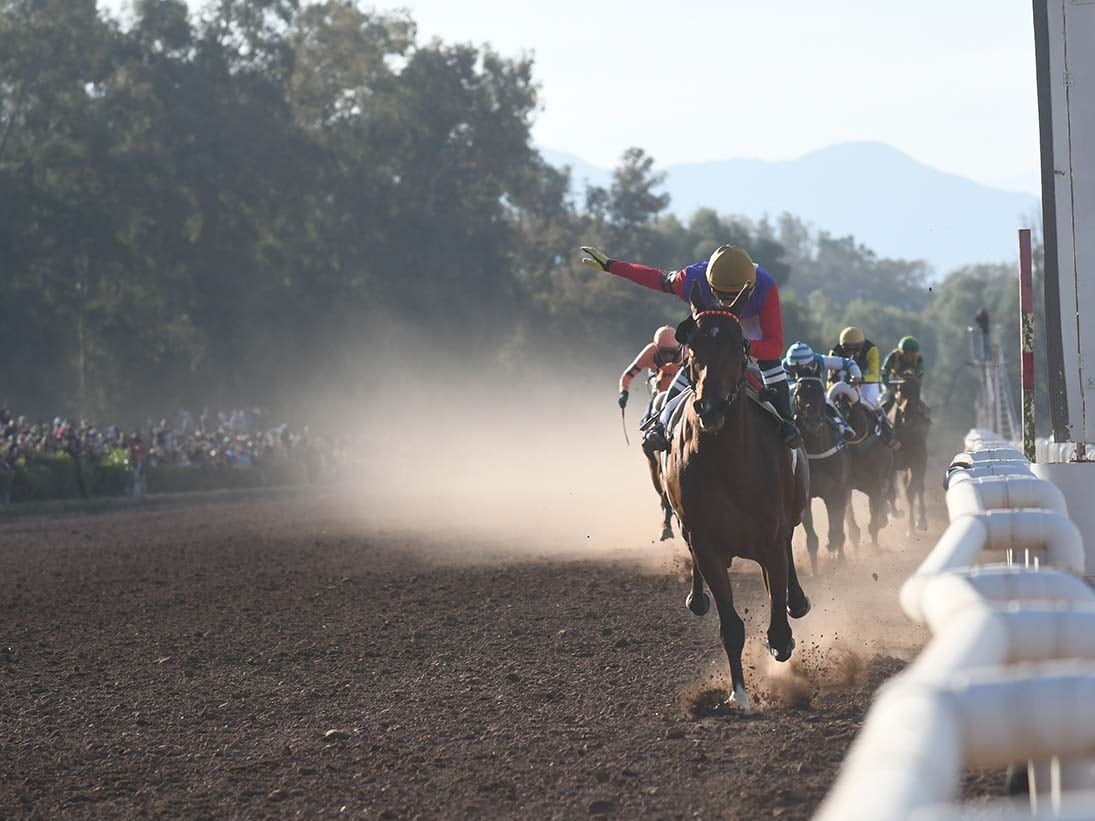 Kennedy Back es uno de los grandes favoritos para la jornada de hoy en el Hipódromo provincial. 