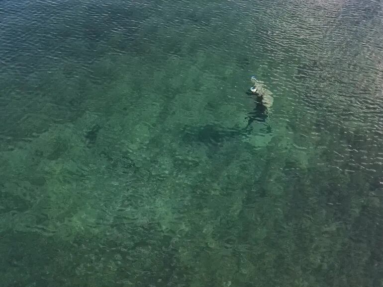 Encontraron la escultura de un minotauro en las profundidades del lago Mari Menuco.