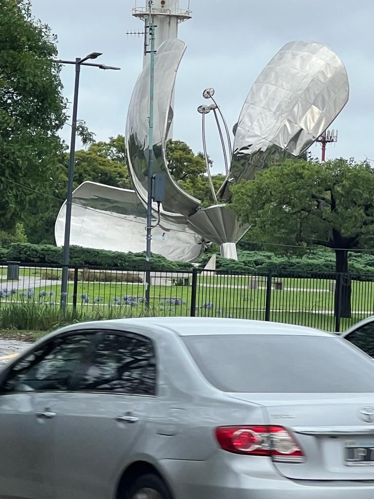 Así quedó la flor de Recoleta tras el temporal. Foto: Redes.