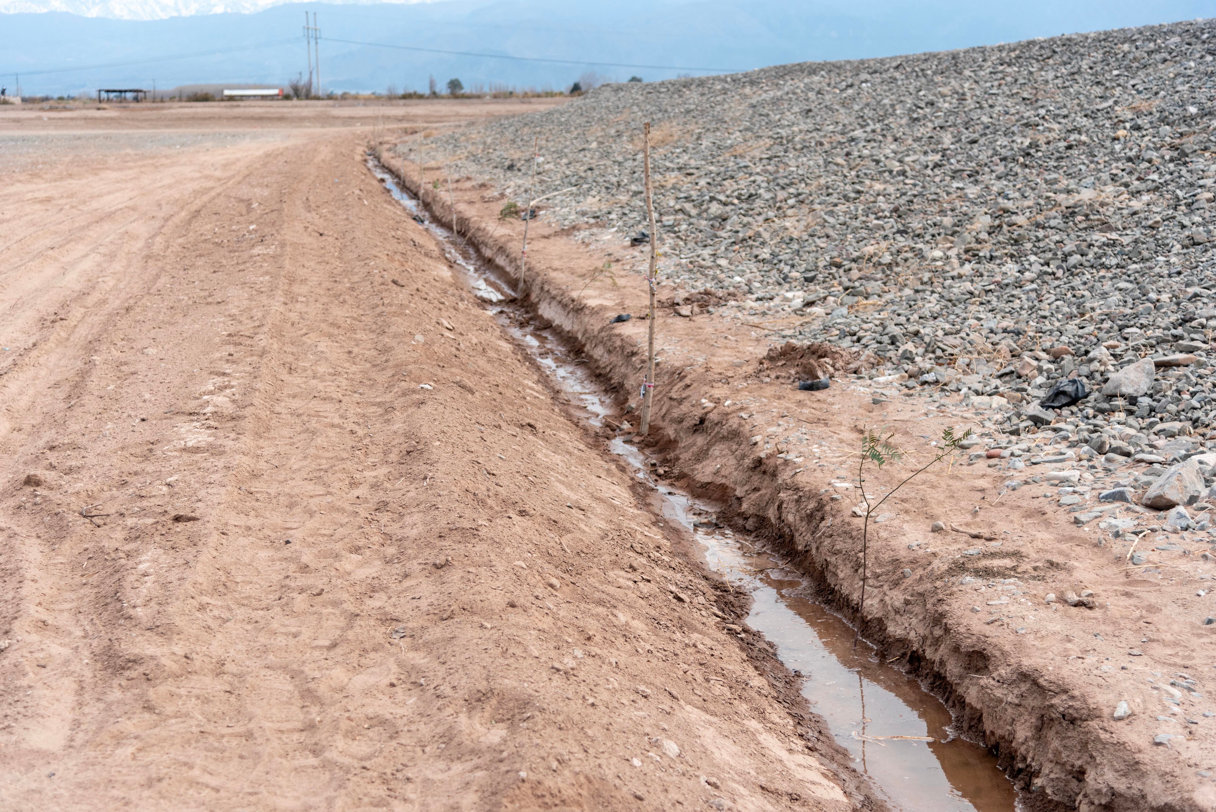 Reforestación: se plantarán 756 árboles en una obra que Irrigación inauguró en marzo