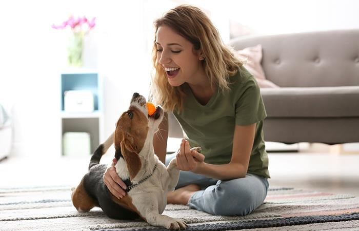 Este es el beneficio de hablarle a los perros como si fueran bebés.