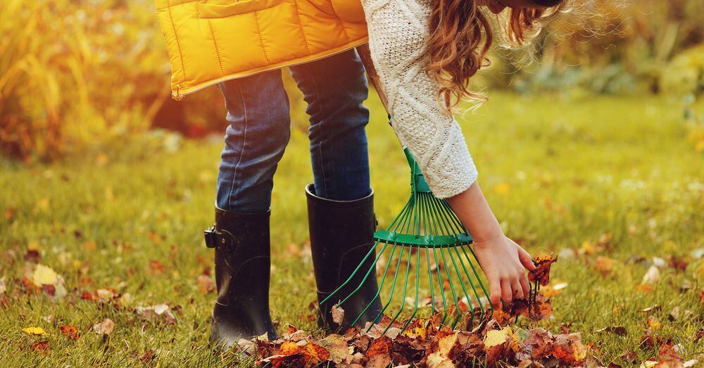 Disminuir el riego y limpiar el jardín de hojas secas es parte de las claves.