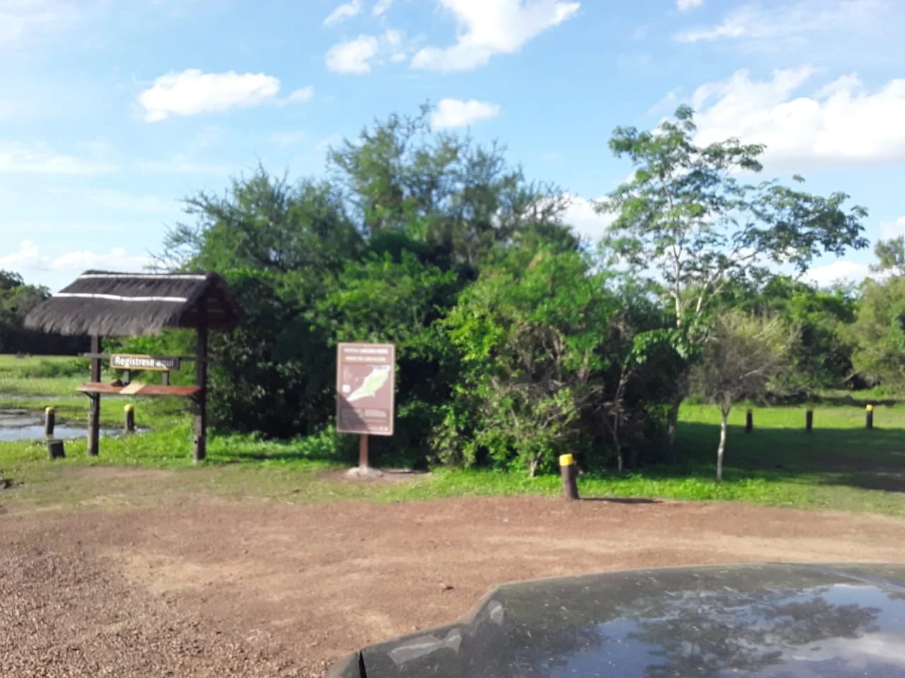 Tras la sequía y los incendios, las lluvias ayudan para recuperar el ecosistema en los Esteros del Iberá. Foto gentileza Misiones Online.