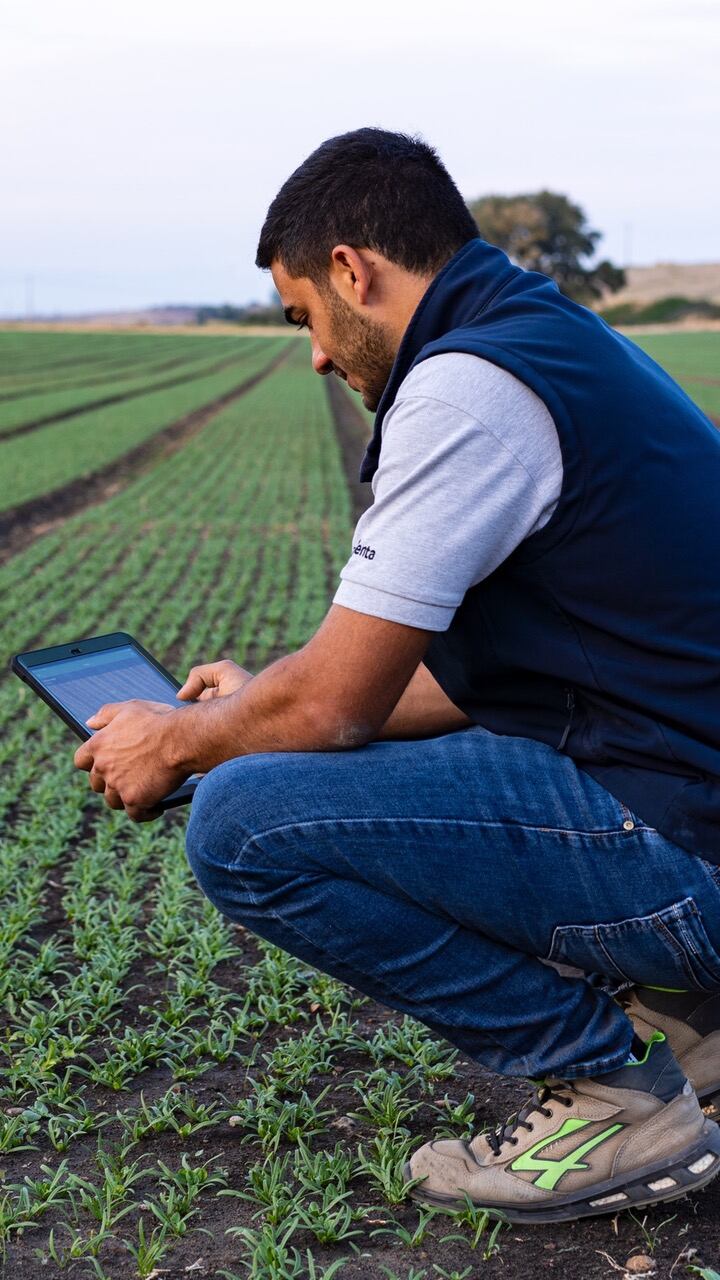 La app está destinada a agrónomos, cooperativas, contratistas, concesionarios, empresas de seguros. - Gentileza