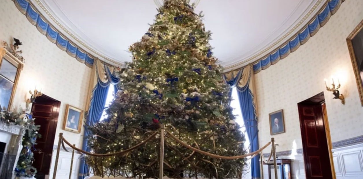 El árbol estará ubicado en el Salón Azul de la Casa Blanca. Foto: Clarín