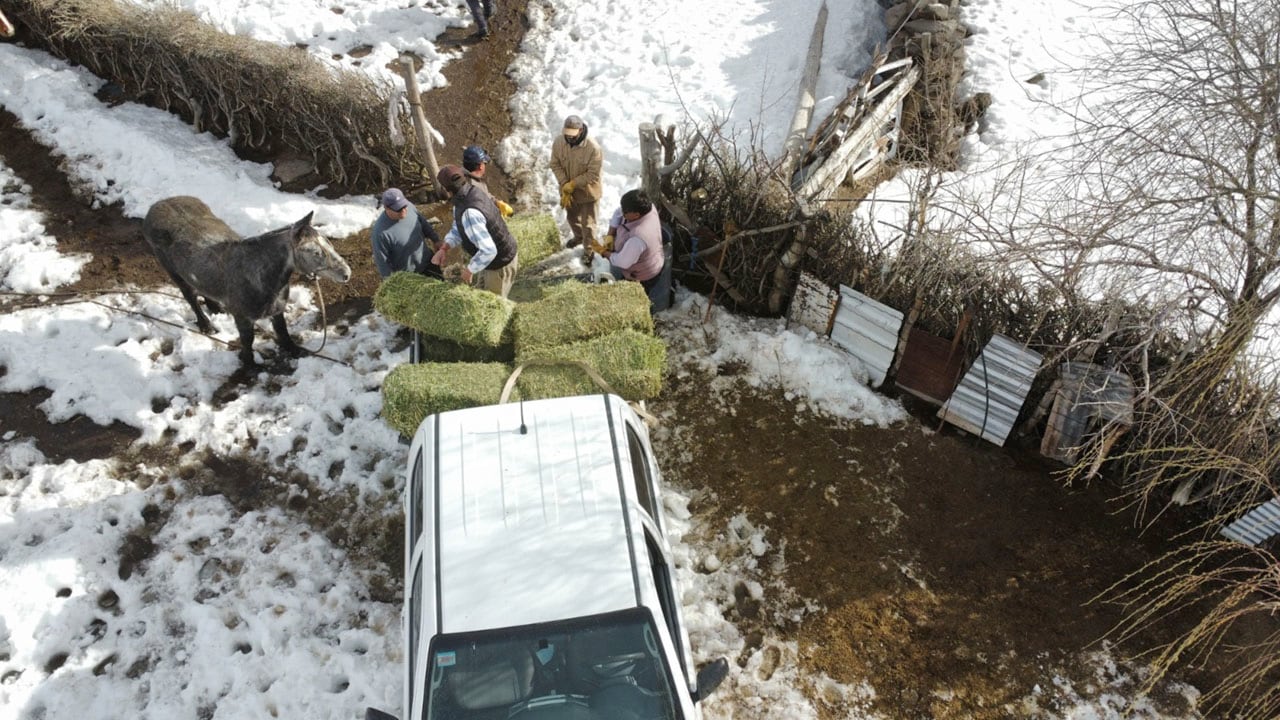 Grupos solidarios asisten a los puesteros aislados de Malargüe. | Foto: gentileza