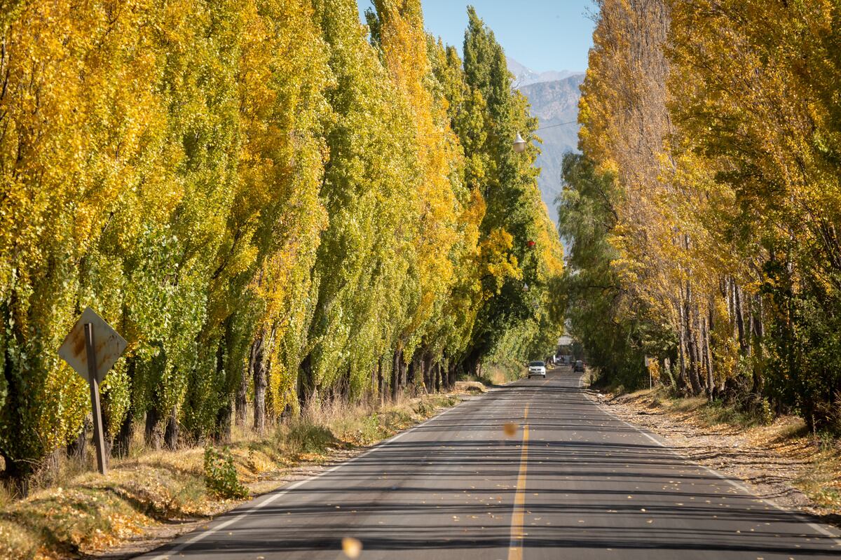 Foto: Ignacio Blanco / Los Andes 