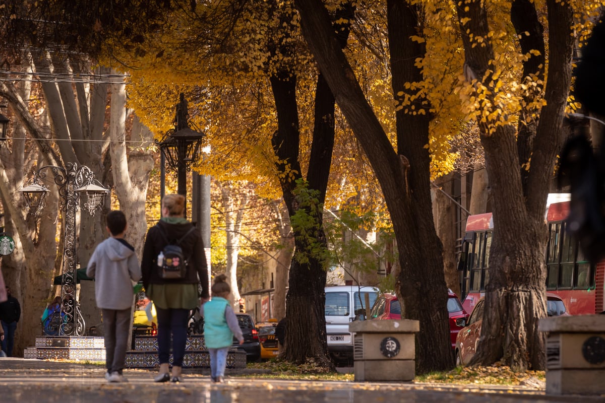 Plaza España
Otoño cálido en la Ciudad de Mendoza 

Foto: Ignacio Blanco / Los Andes 