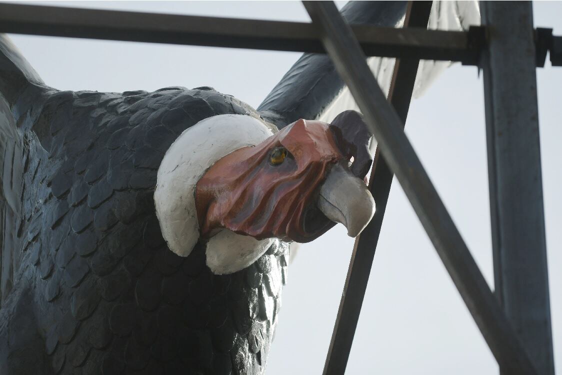 El cóndor del Acceso ya tiene su nueva cabeza y se alista para su reinauguración. | Foto: José Gutiérrez / Los Andes