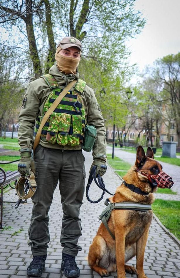 Un perro “de guerra” fue abandonado por los rusos, lo adoptaron los ucranianas y combate con ellos. Foto: Daily Star.