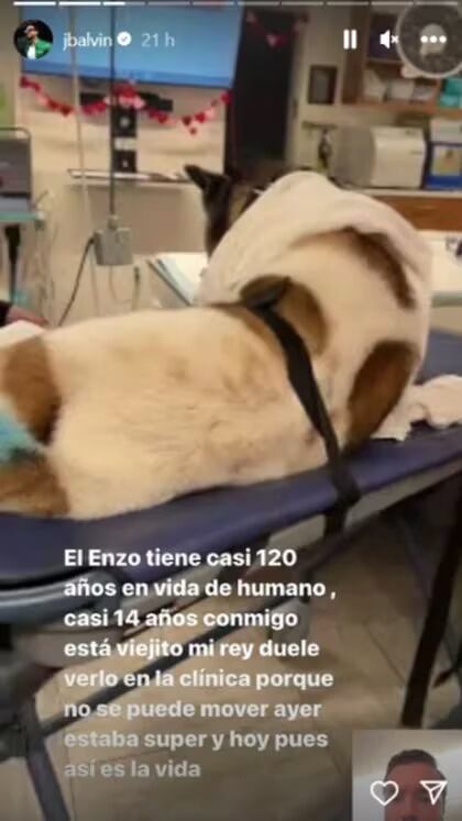 El sentido posteo de JBalvin sobre su perro Enzo. / Instagram