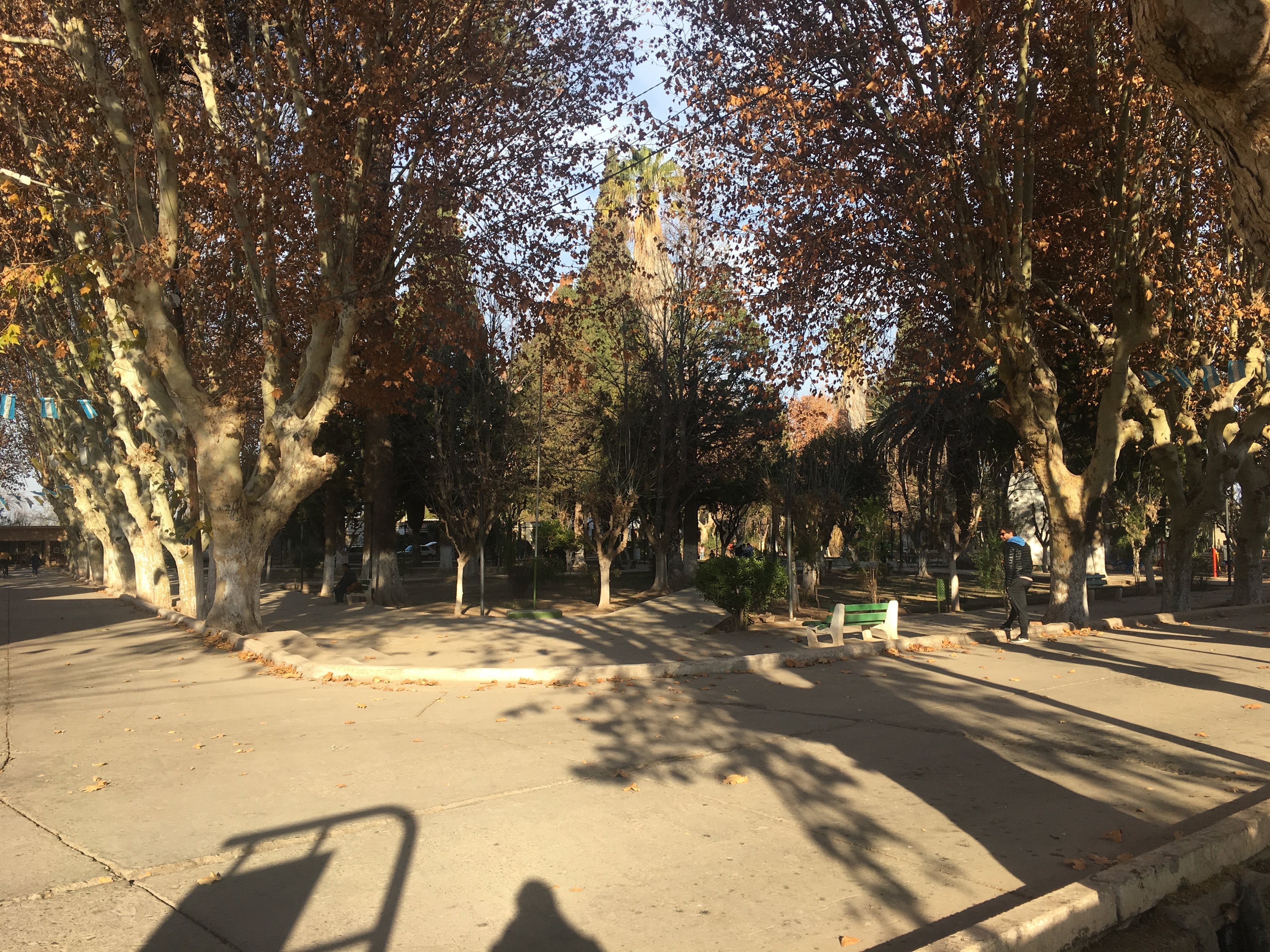 Plaza de San Roque.