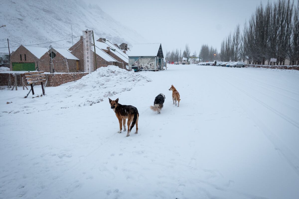 Foto: Ignacio Blanco / Los Andes 