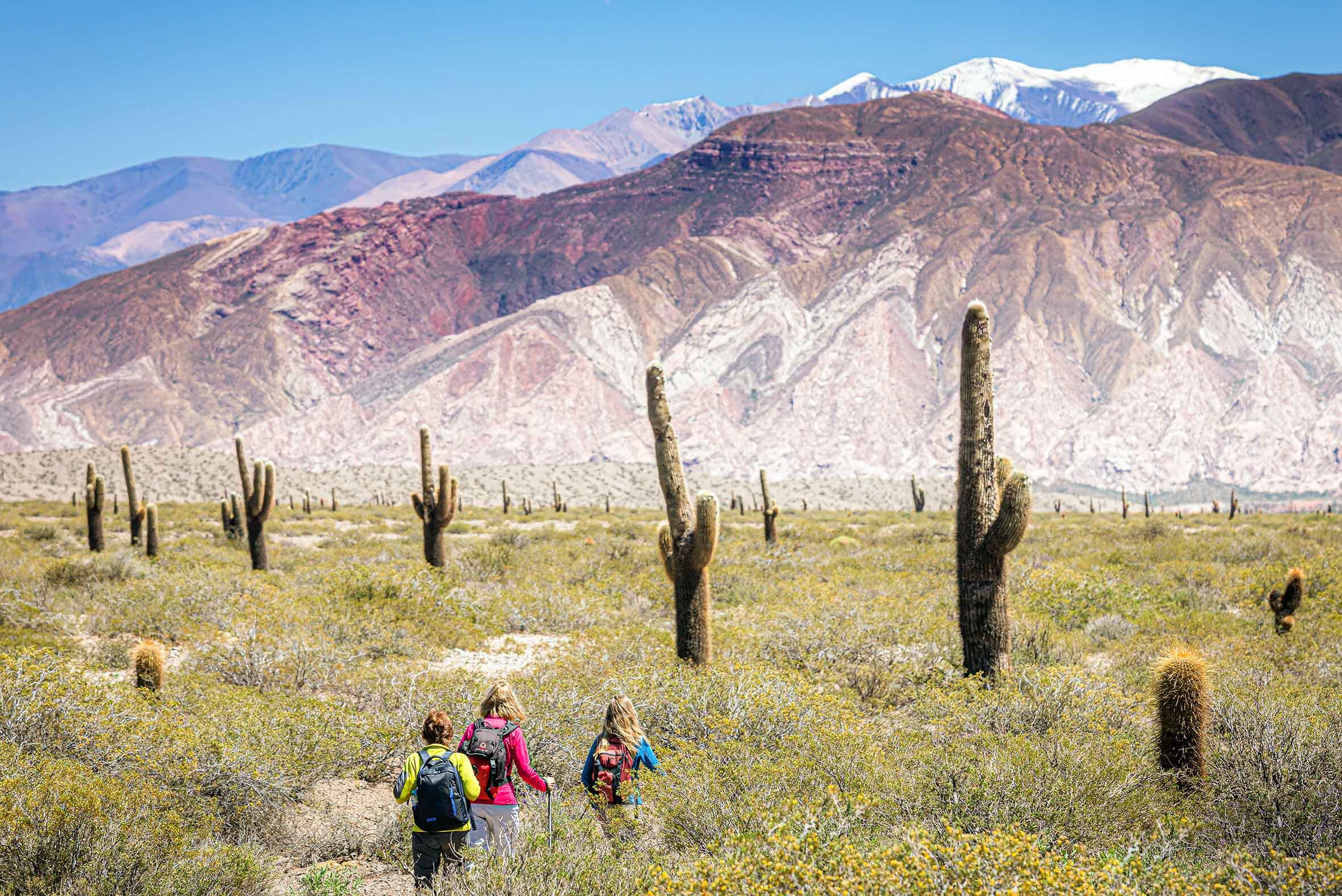 Una visita a Cachi es imperdible en un viaje a Salta. (Foto: Ministerio de Turismo de Salta)