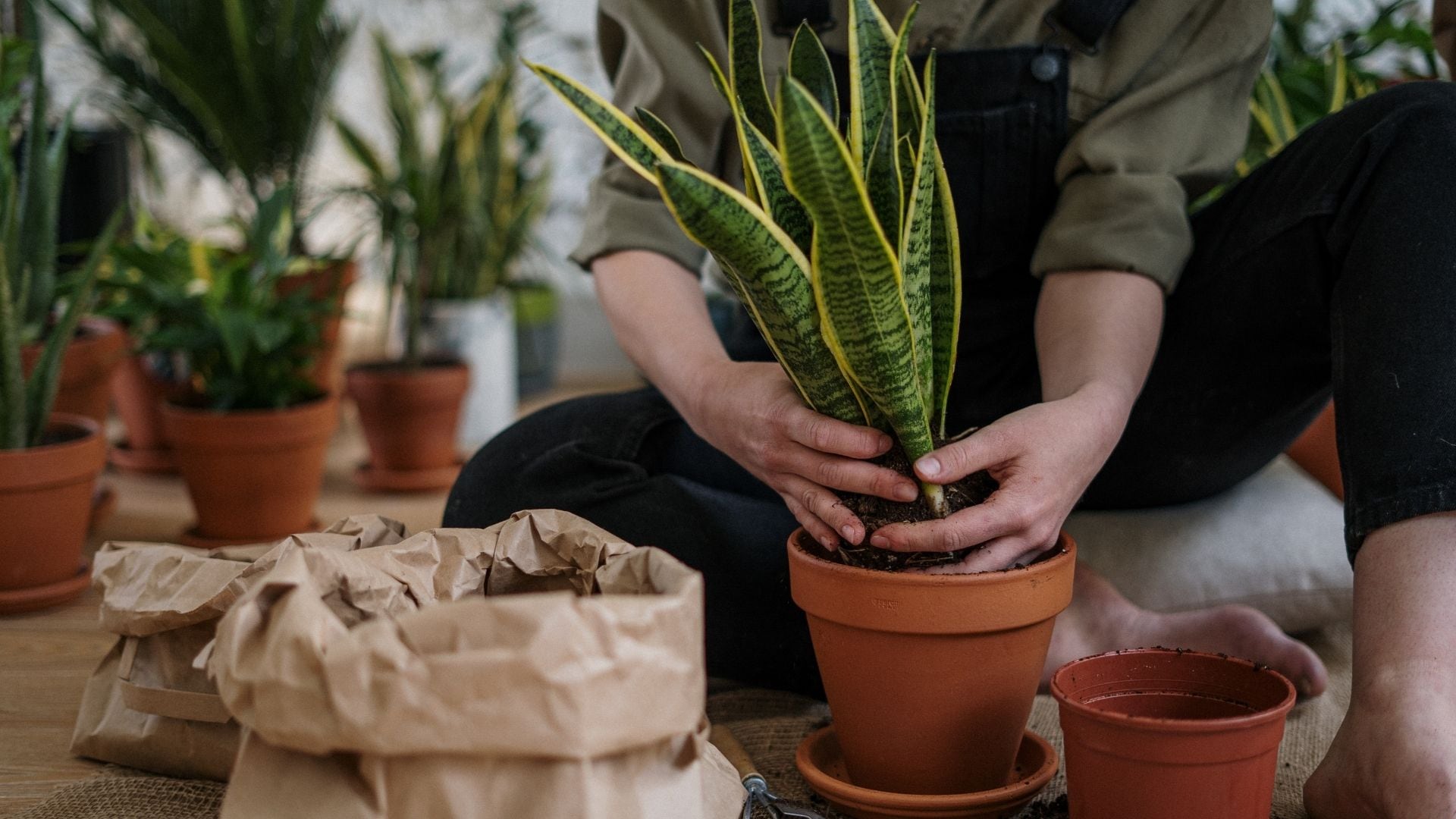 Jardinería