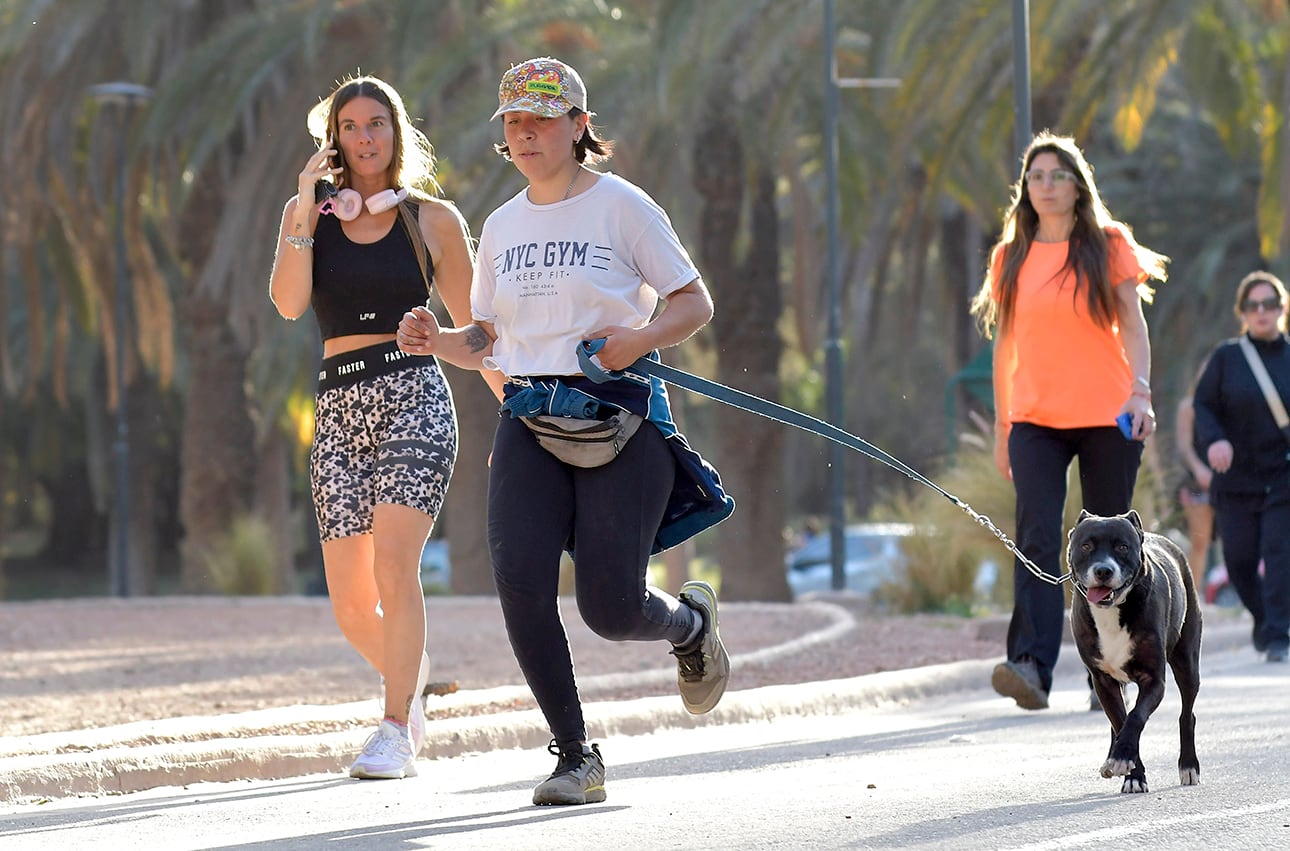 El tiempo en Mendoza: pronostican una primavera más seca y calurosa de lo normal. Foto: Orlando Pelichotti / Los Andes (Archivo)