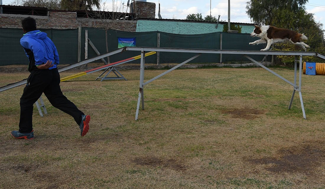 “La práctica del Agility deja una sensación muy linda de formar equipo con el perro" afirma Gustavo Arias instructor de Choco Malbec