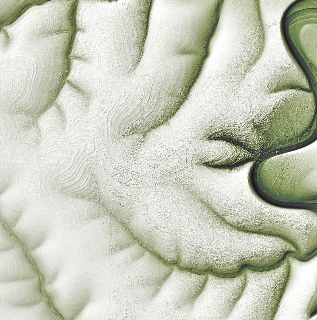 El satélite Landsat 8 tomó las fotografías del norte de Siberia.