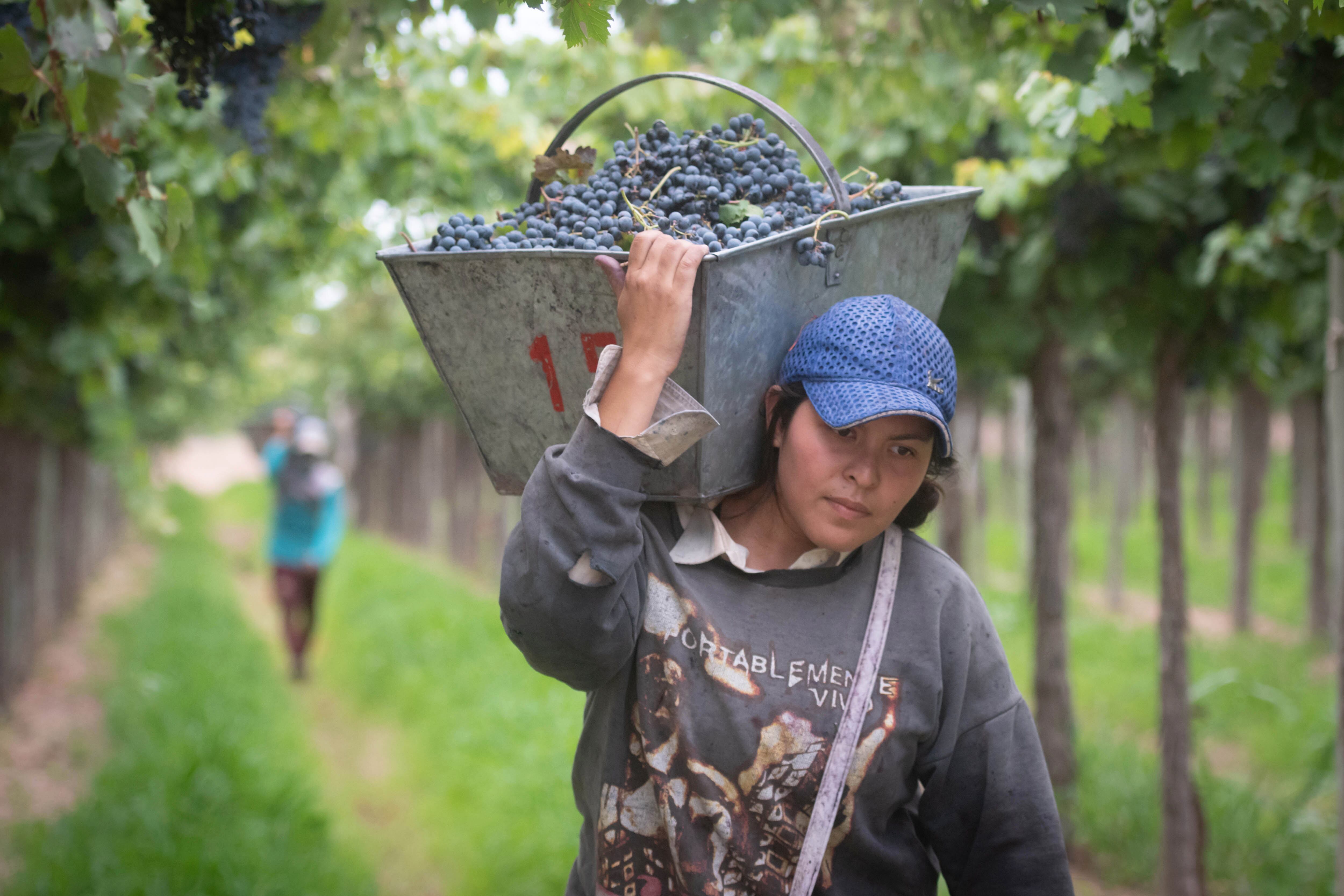 Mujeres que trabajen en agro podrán acceder a una financiación. 