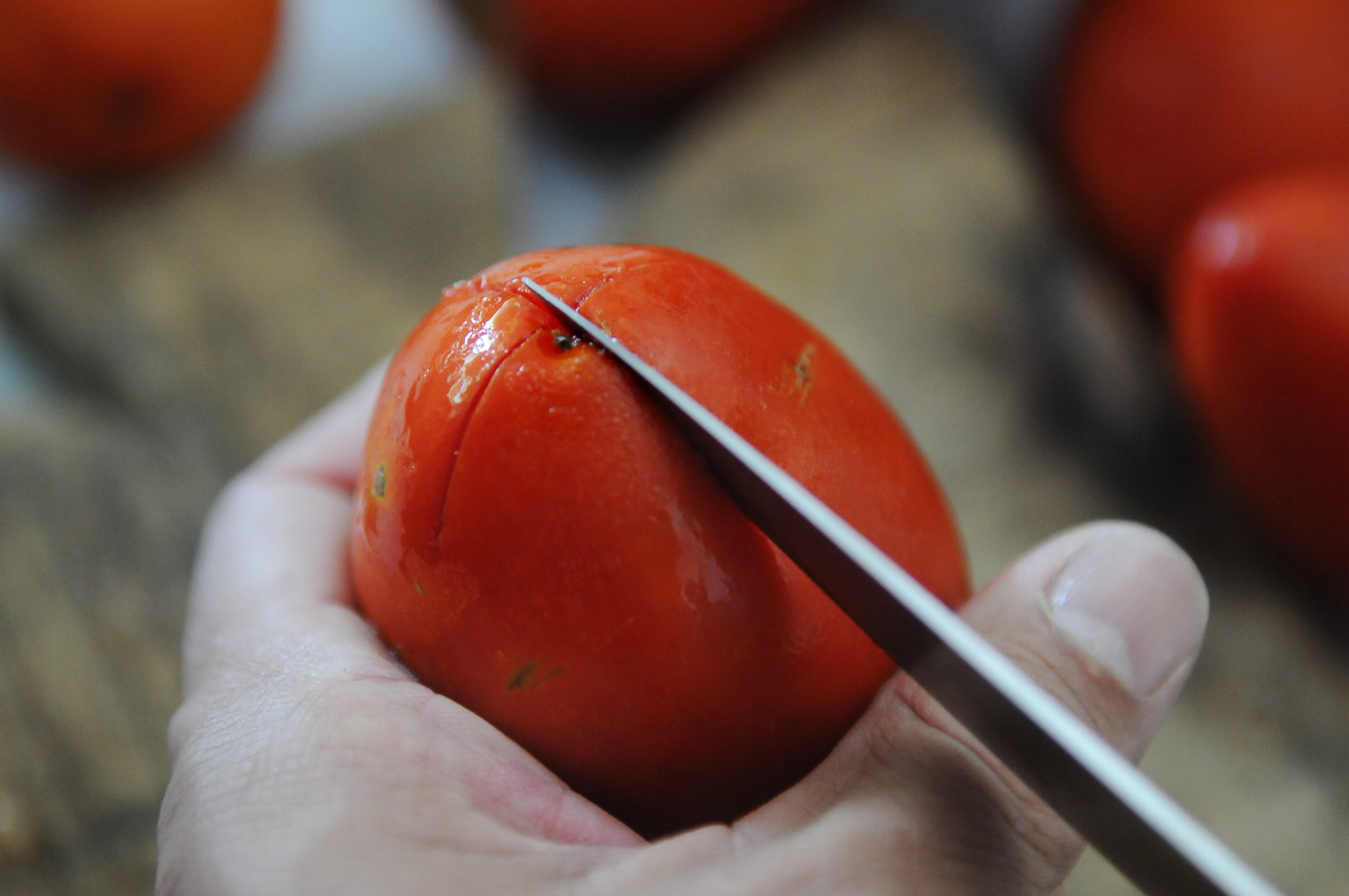 Temporada de tomate.