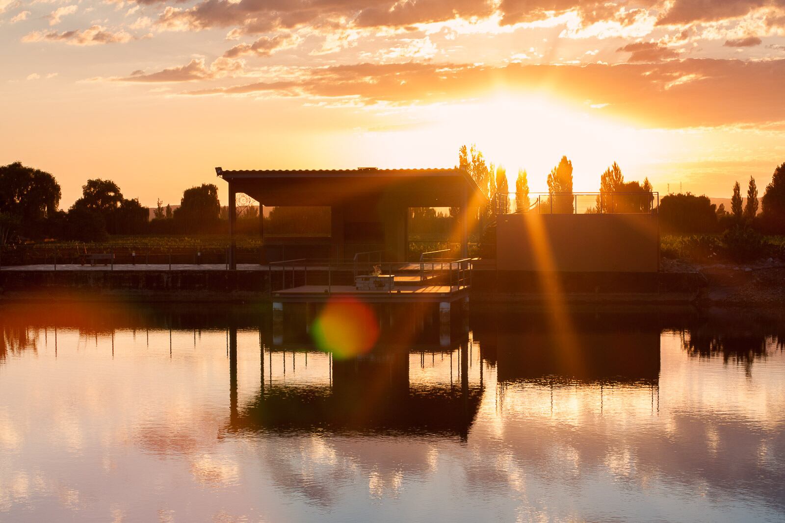 Atardecer en los viñedos de la bodega Lamadrid. 