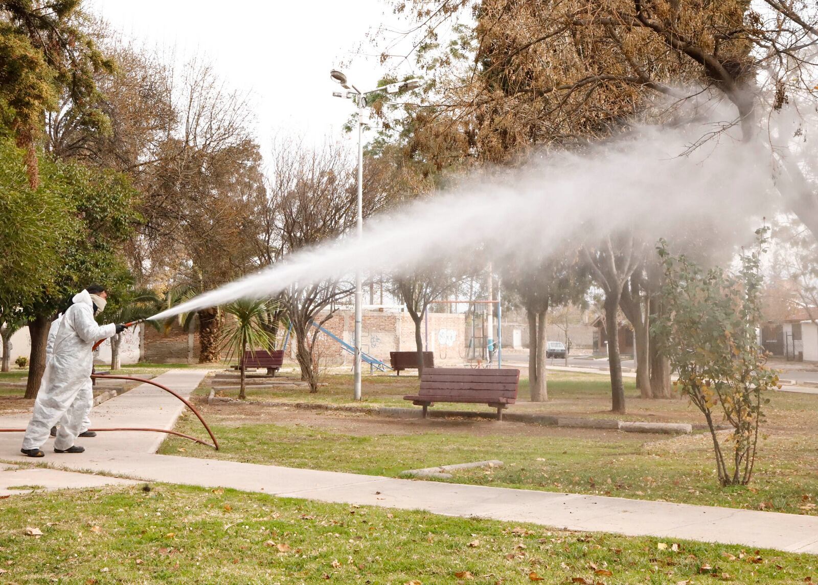 Prevención del dengue en Maipú