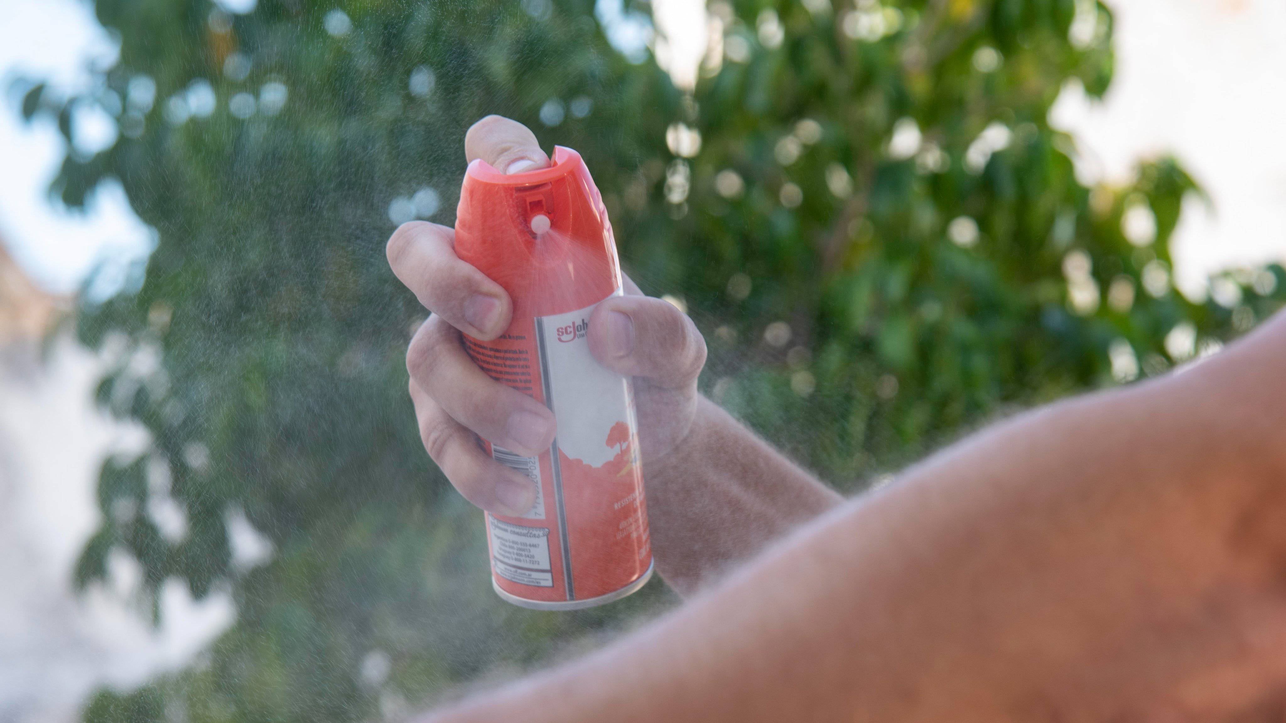 Con la llegada de la primavera comenzará a circular más el mosquito aedes aegypti, vector del virus que provoca el dengue y que el verano pasado tuvo en jaque al país y la región. Se recomienda el uso de repelente
