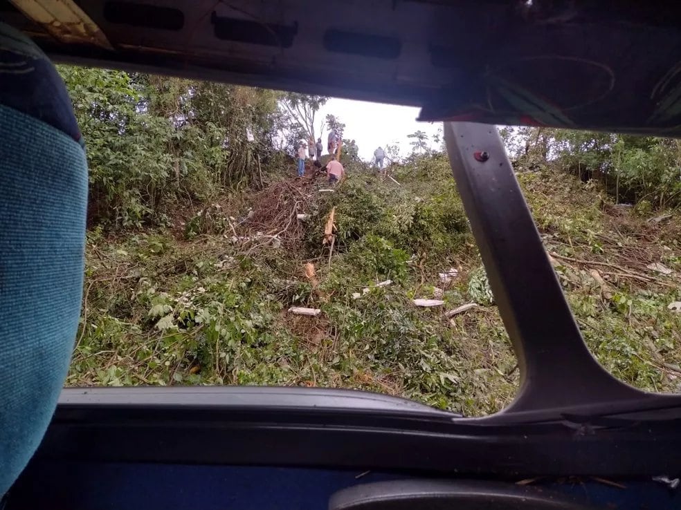 El siniestro vial sucedió anoche en una carretera de Paraná, a la altura de Sapopema, un pequeño municipio a 300 kilómetros de Curitiba.