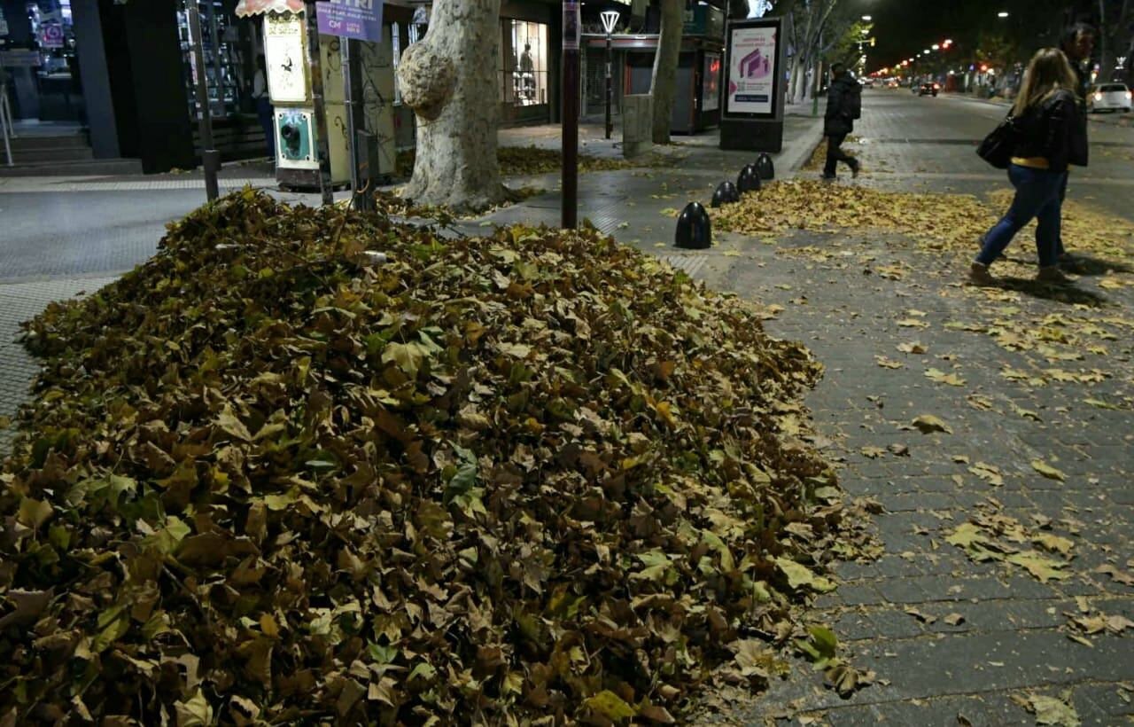 Así amaneció la Ciudad de Mendoza tras el viento Zonda (Orlando Pelichotti / Los Andes)