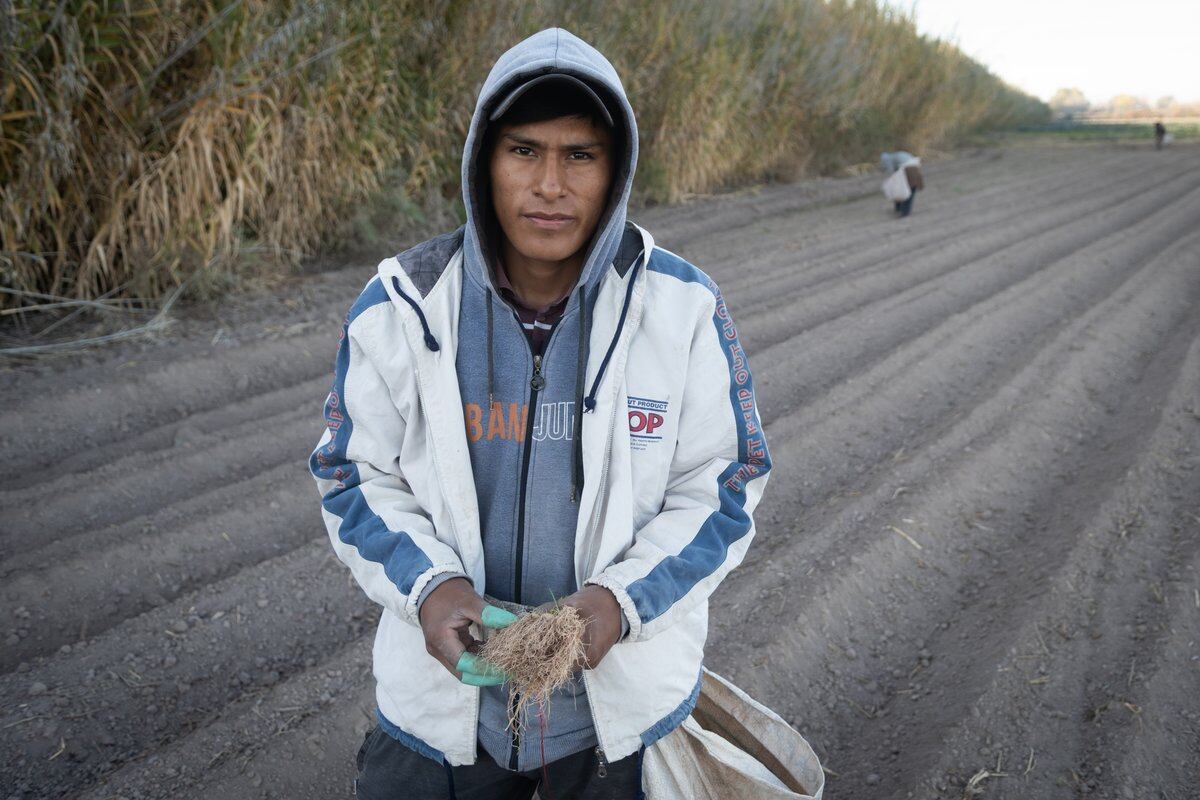 Alex el mayor de los hijos y fue a quien le aplastaron la pierna con un tractor. Afortunadamente, no sufrió daños permanentes. Foto: Ignacio Blanco / Los Andes