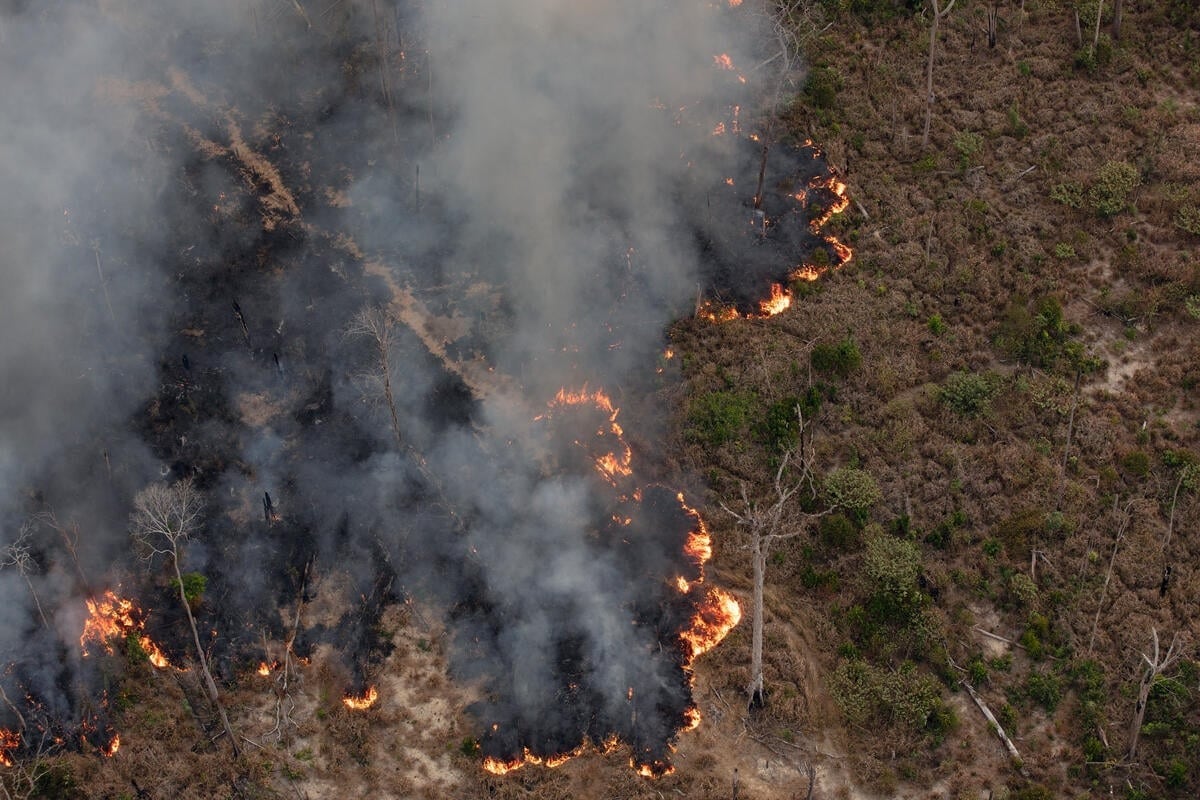 El fuego afectó más de 84.000 hectáreas. Foto: Gentileza Greenpeace.