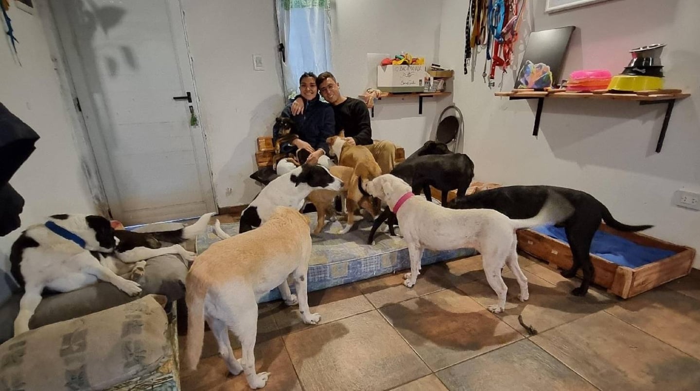 Tatiana y Claudio junto a sus 13 mascotas. Foto: Gentileza TN.