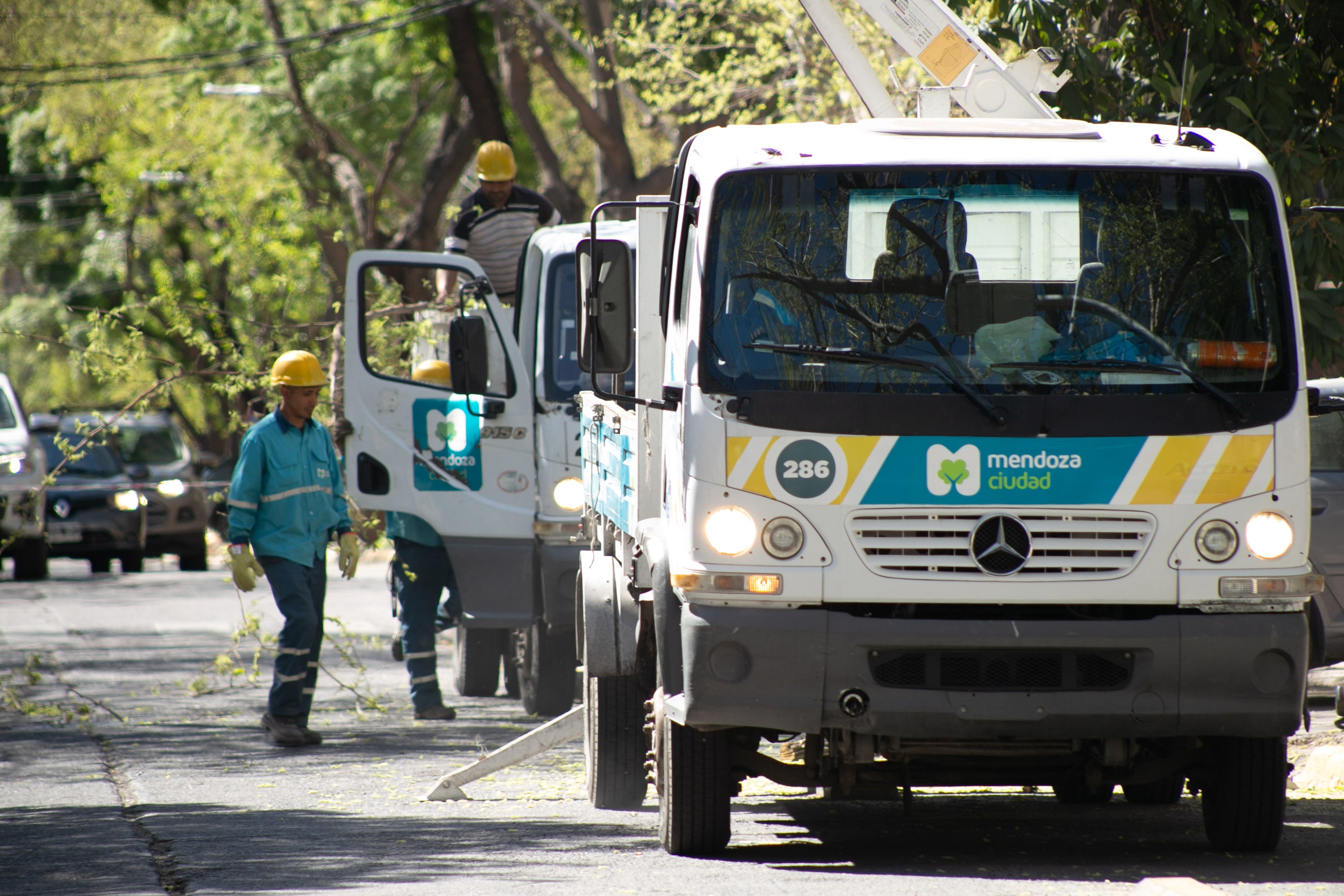 La Ciudad de Mendoza intensifica el Operativo 360 en la Quinta Sección y proyecta futuras intervenciones