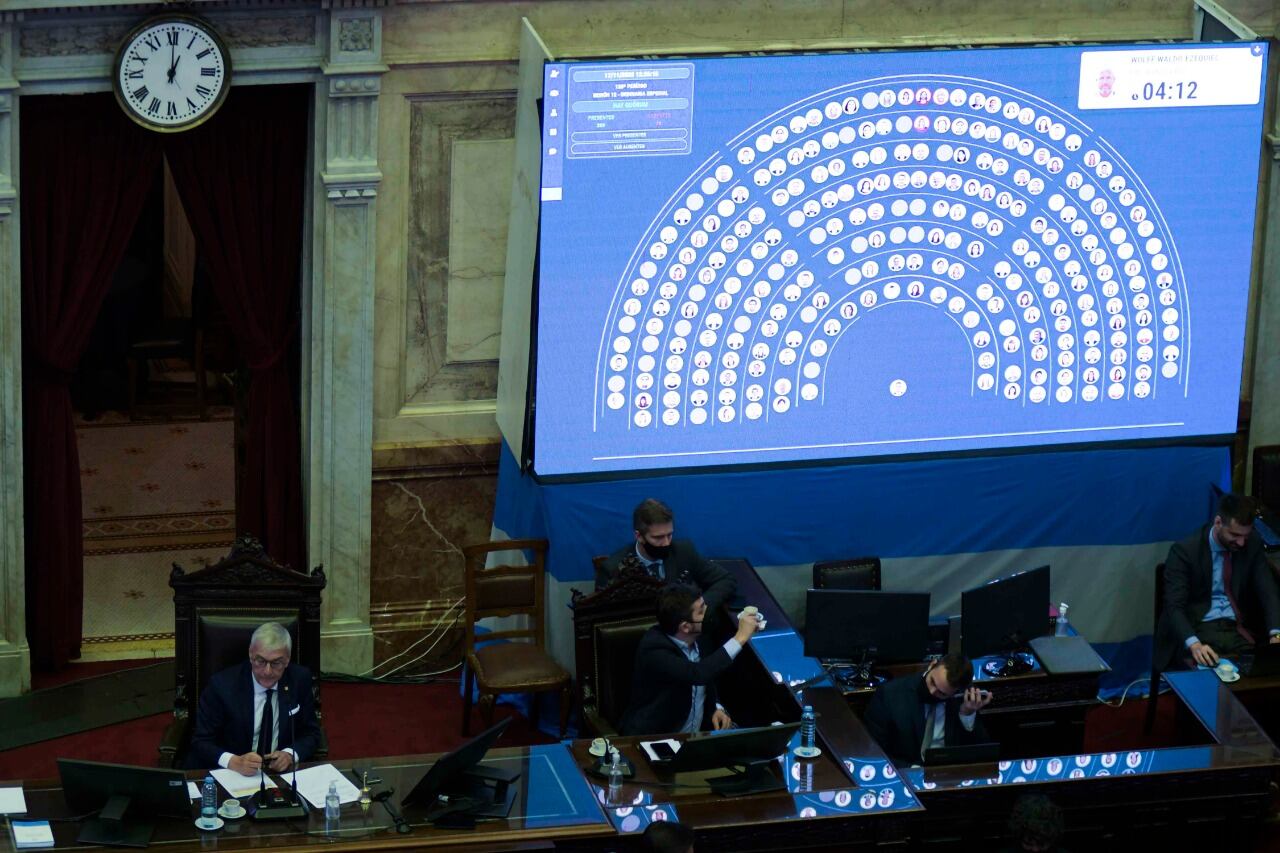 El plenario fue presidido por el vicepresidente de la cámara baja, Alvaro González (PRO), ya que el titular del cuerpo, Sergio Massa, participa en forma remota