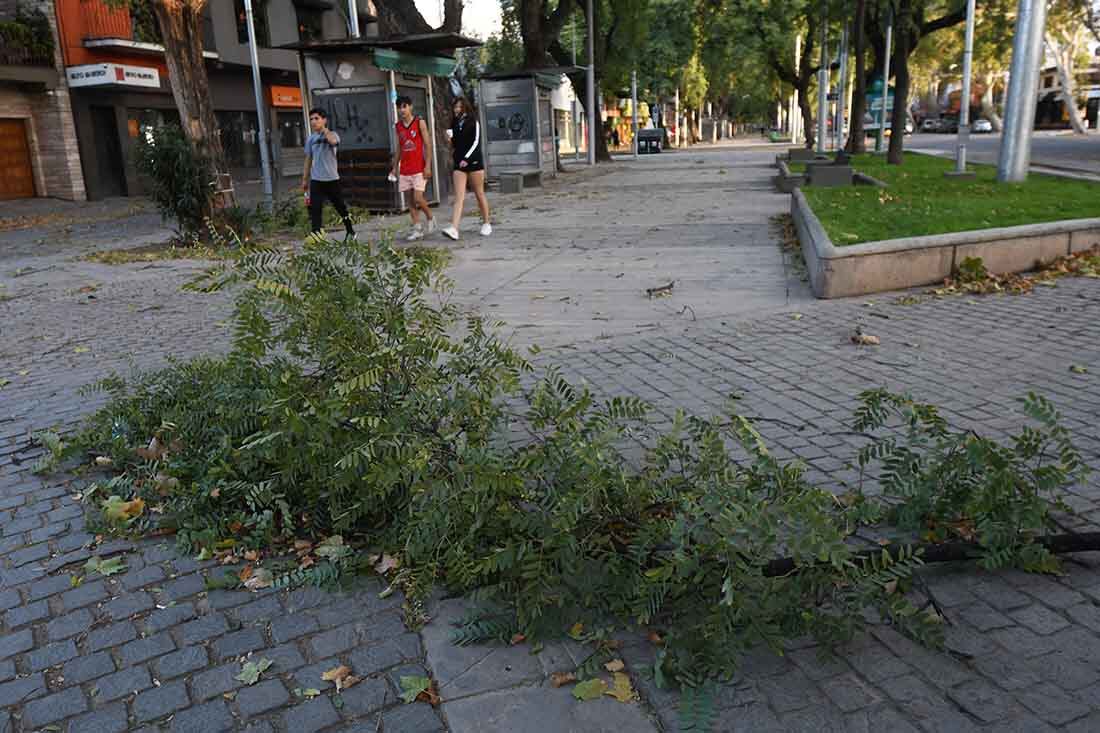 
Foto: José Gutierrez/ Los Andes 