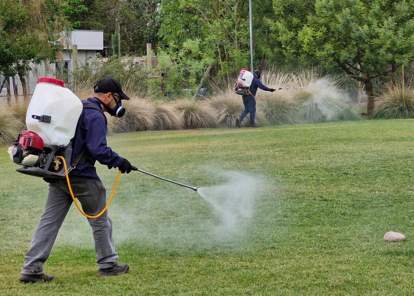 Tareas territoriales para eliminar reservorios del mosquito que provoca el dengue