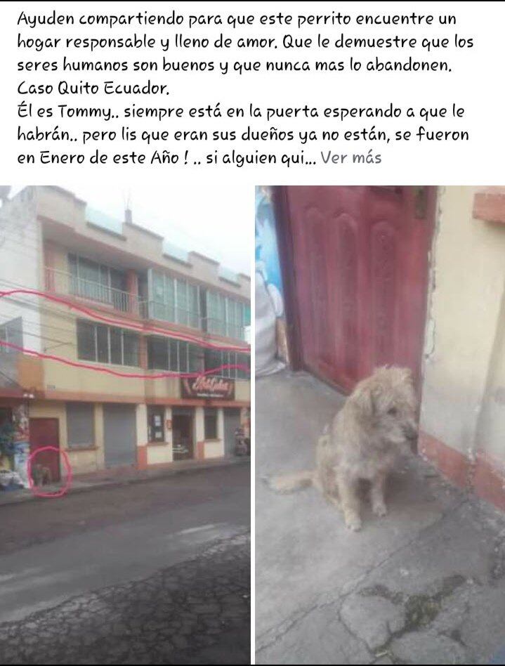 El posteo de Facebook por el cual Katty dio con la trágica história de Tommy. Foto: @Kattycita10 / Twitter