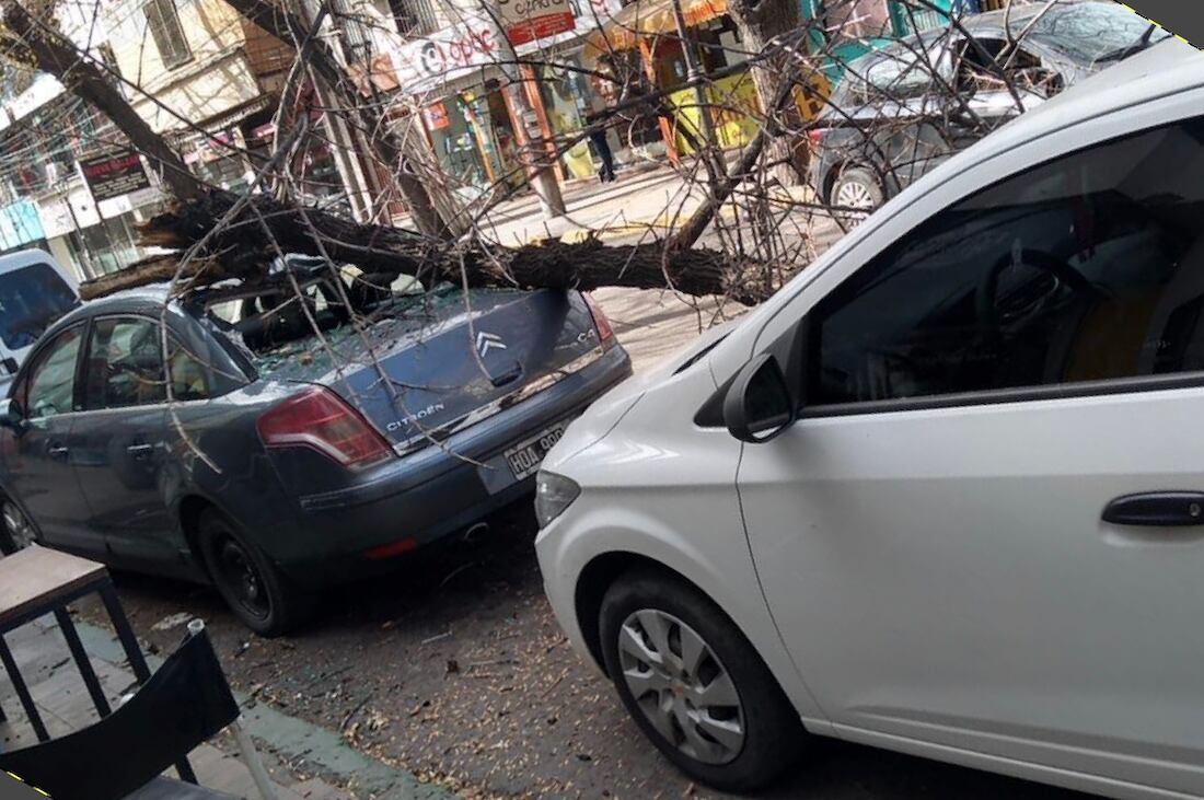 Entre la recomendaciones de Defensa Civil, se aconseja no estacionar el automóvil bajo árboles.