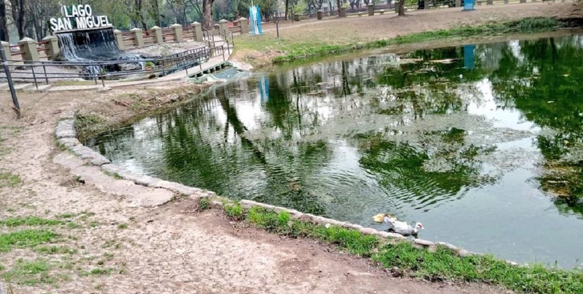 Se robaron los patitos de un lago municipal