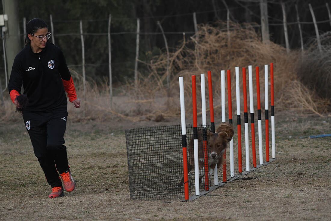 Irina con Sirius practica el agility, una modalidad donde un guía dirige a un perro sobre una serie de obstáculos.