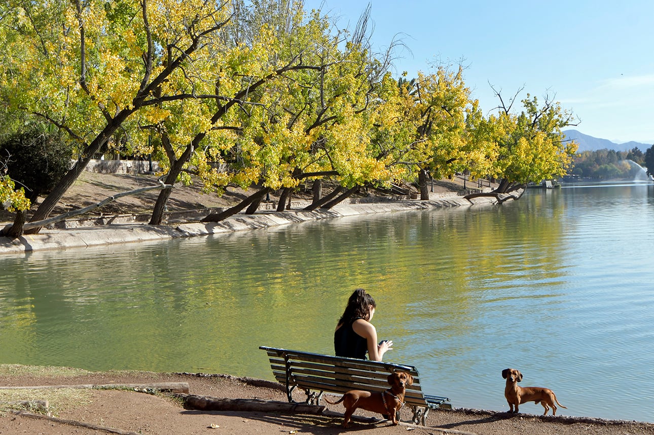 Otoño en Mendoza en el Parque General San Martín

Foto: Orlando Pelichotti