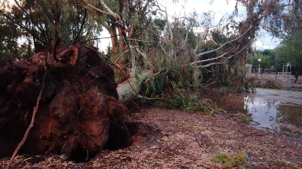 Una fuerte tormenta afectó a varias localidades del Este provincial durante la tarde y noche del jueves. Gentileza.