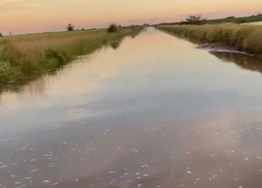 Así está la ruta provincial 2S que une Iriarte, provincia de Buenos Aires, con San Gregorio, en Santa Fe.