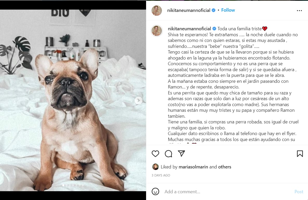 El dolor de Nicole por la pérdida de su perrita