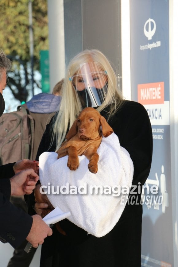 Susana Giménez llegó a Argentina