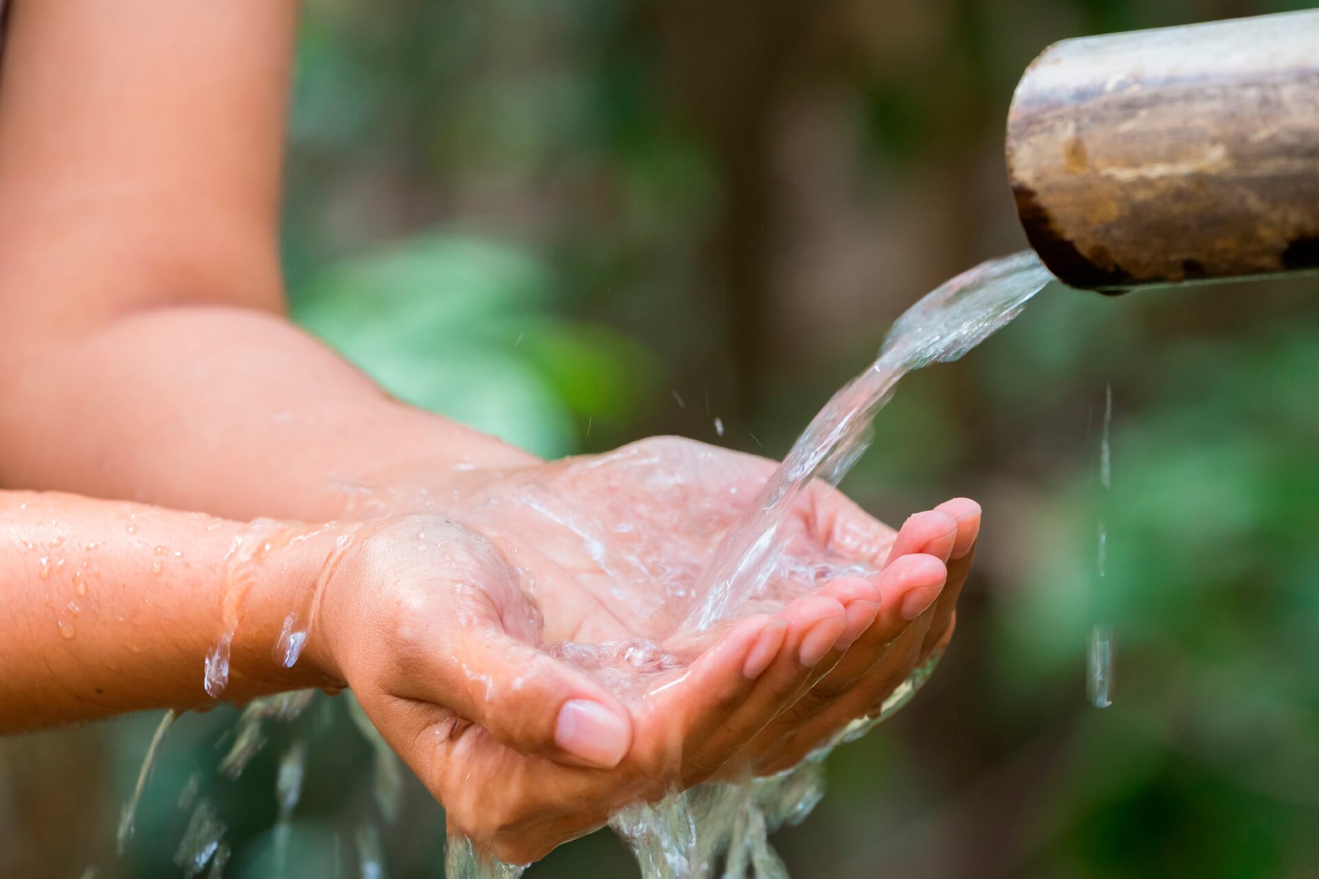 Este 5 de junio se conmemora el Día Mundial del Medio Ambiente.