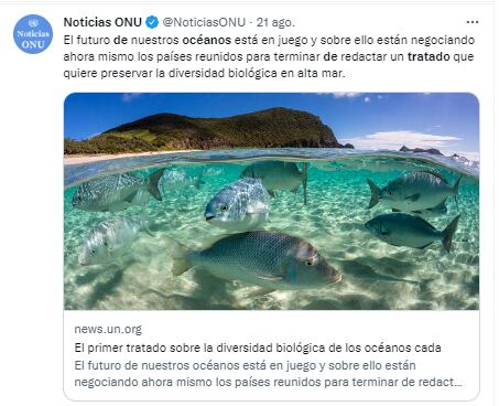 En la Conferencia Intergubernamental de la ONU se está tratando un acuerdo para proteger la biodiversidad de los océanos.