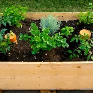 Esto ocurre si ponés la esponja de los platos en las plantas de tu jardín.